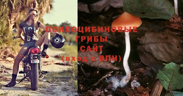 крисы Кукмор