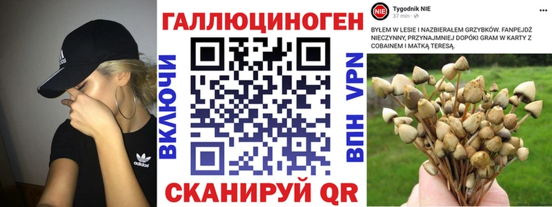 Галлюциногенные грибы мухоморы  Южа 